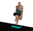 Calf Raise - Wall Single Leg Dumbbell